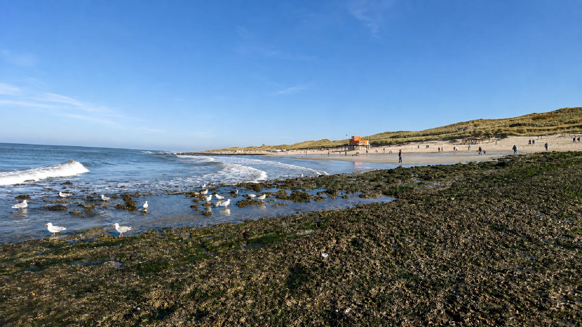 Callantsoog